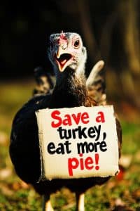 Alright, imagine this: a turkey holding up a sign begging you to spare it and just indulge in more pie instead. Could he be our new holiday hero?