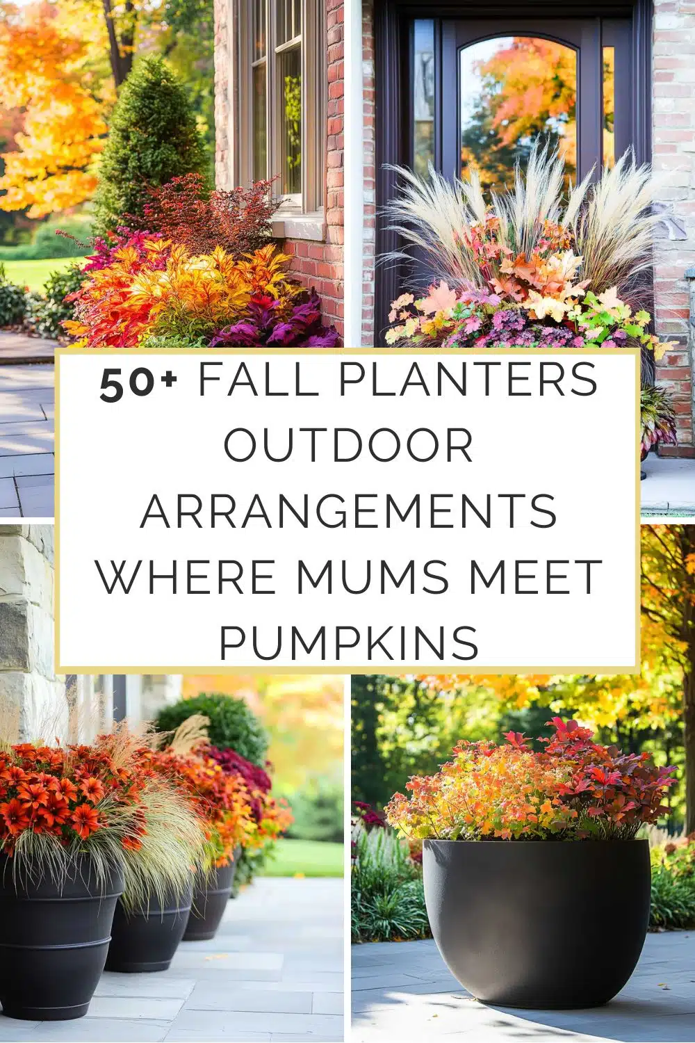 Window Shutter (46) Get ready to wow your neighbors with these killer fall planters, bursting with mums and grasses. It's like your porch just got a pumpkin-spice upgrade!
