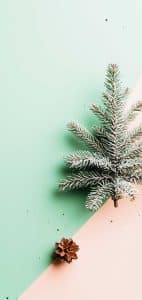 Ever thought a pine branch and a pinecone could outshine your decor skills Join forces with this snow-dusted duo for the holiday magic you forgot you needed.
