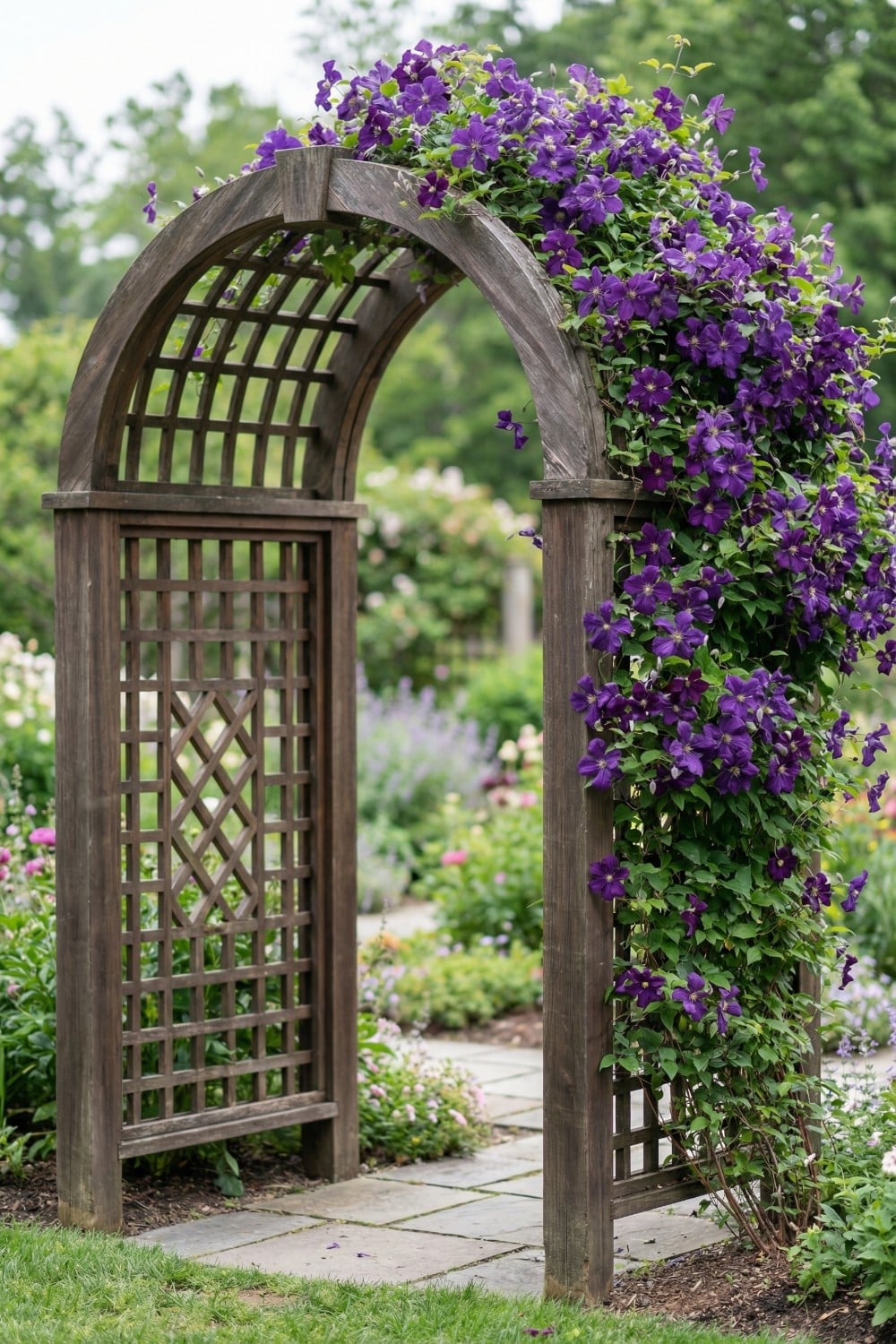Diamond lattice panels on a dark timber clematis trellis